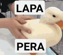 Lapapera GIF - Lapapera Papera GIFs