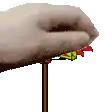 a close up of a person 's hand holding a stick with a flower on it .