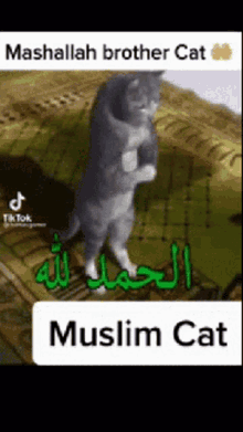 Drag0v Alhamdulillah GIF