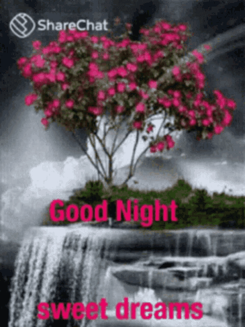 Good Night Sweet Dreams GIF - Good Night Sweet Dreams Waterfalls - Discover  & Share GIFs