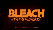 Bleach Simulcast GIF - Bleach Simulcast Freebleachsimulcast GIFs