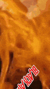 a close up of a flame with the word blaze visible