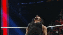 Roman Reigns Spear Batista Raw GIF - Roman Reigns Spear Batista Raw GIFs