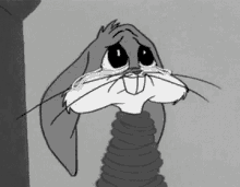 Bunny Crying GIF - Bunny Crying Please Please GIFs