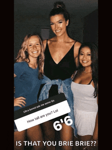 Tall Woman1 GIF - Tall Woman1 GIFs