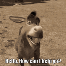 Donkey Help You GIF - Donkey Help You How Can I Help Ya GIFs