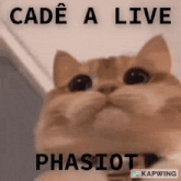 a close up of a cat with the words cadé a live phasiot written above it