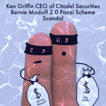 Citadel Scandal Ponzi Scheme GIF