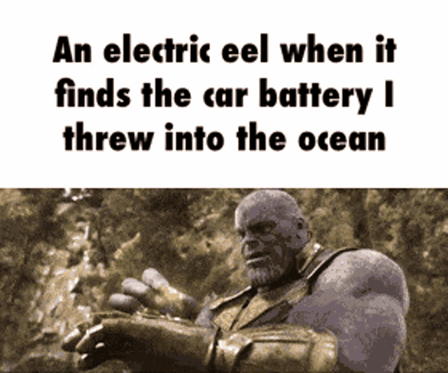 electric-eel.gif
