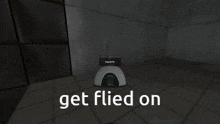 a screenshot of a video game with the words get flied on