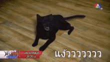 Ch7drama Charming Wizard GIF - Ch7drama Charming Wizard Cat GIFs