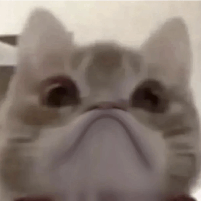 Cat Frown GIF - Cat frown - Discover & Share GIFs