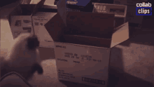Cat Jumping In The Box Funny Cat GIF