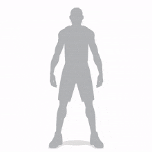 a basketball player for saint joseph 's hawks is shown