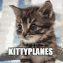 kitty planes