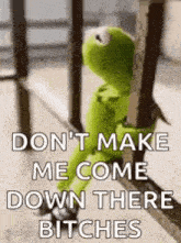 kermit the frog is sitting on a railing and says `` don t make me come down there bitches '' .