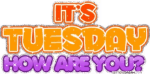 Its Tuesday How Are You GIF