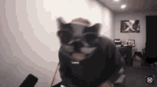 Xposed Xposed Dog Dance GIF - Xposed Xposed Dog Dance Dog House GIFs