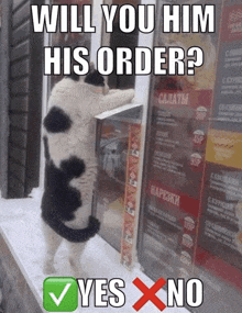 Cat Order GIF - Cat Order GIFs