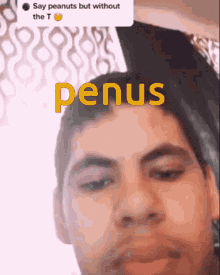 Penus Peanuts Without T GIF - Penus Peanuts Without T GIFs
