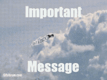 Important Message Eat A Dick GIF - Important Message Eat A Dick Bird GIFs