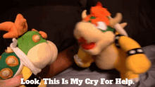 Sml Bowser GIF - Sml Bowser Look This Is My Cry For Help GIFs