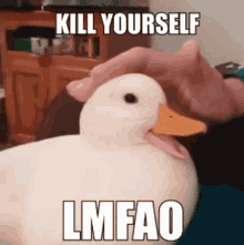 Duck Kyds GIF - Duck Kyds Kys GIFs