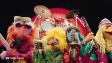 Electric Mayhem Muppets GIF - Electric Mayhem Muppets Floyd Pepper GIFs