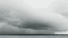 Dark And Stormy Seagrass And The Ecosystem GIF - Dark And Stormy Seagrass And The Ecosystem Storm Is Coming GIFs