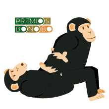 bonobo bonobos monos mono premios