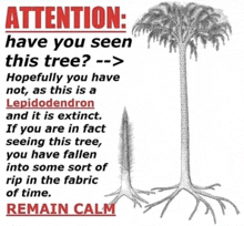 a poster that says attention have you seen this tree hopefully you have not