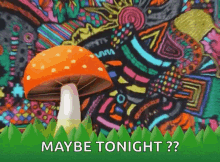 trippy mushroom psychedelic maybe tonight