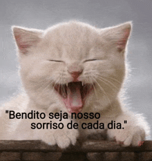 a white kitten with its mouth open and the words bendito seja nosso sorriso de cada dia