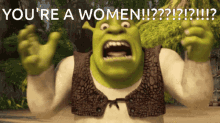 Shrek Women GIF - Shrek Women Shocked GIFs