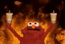 elmo is holding two cups of bubble tea in front of a fire .