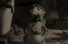 Rat Yes GIF - Rat Yes Thats Right GIFs