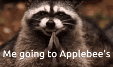 Raccoon Hehe GIF - Raccoon Hehe Applebees GIFs