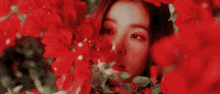 Red Velvet Palace GIF