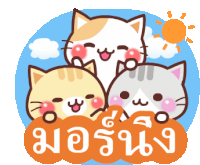 Cat Sticker Line Sticker Sticker