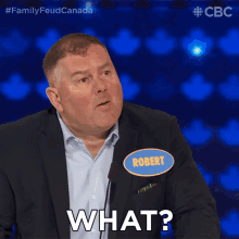 What Family Feud Canada GIF - What Family Feud Canada Huh GIFs