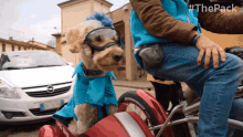Drive The Pack GIF - Drive The Pack Ready For Drive GIFs
