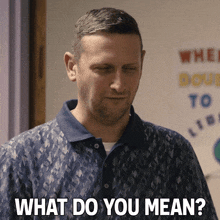 What Do You Mean Tim Robinson GIF