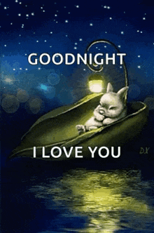 sweet dreams goodnight night sky stars rabbit