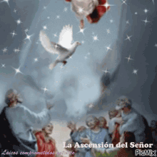 La Ascencion Del Senor The Ascension Of The Lord GIF - La Ascencion Del Senor The Ascension Of The Lord Bird GIFs