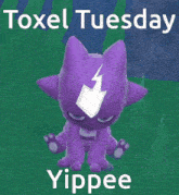 a picture of a purple cat with the words toxel tuesday yippee on the bottom