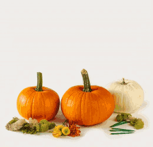 Diy Pumpkin GIF - Diy Pumpkin Thanksgiving Decor GIFs