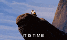 a bird sitting on top of a rock with the words " it is time " written below it