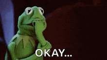 kermit the frog from sesame street is holding his hand to his chin and saying okay .