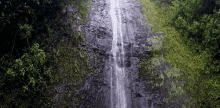 Manoa Falls GIF - Hawaii Waterfall Nature GIFs