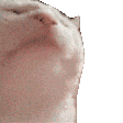 a close up of a cat 's face with its eyes closed on a white background .